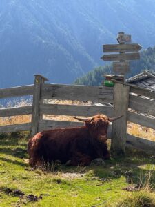 Sportfahrt nach Natz in Südtirol