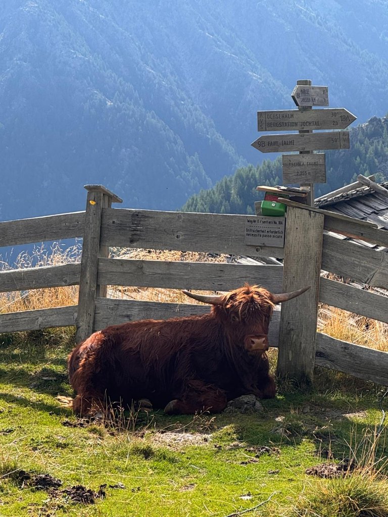 Sportfahrt nach Natz in Südtirol